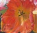 рис.6 натюрморт с тюльпанами - фрагмент картины  Кликните для перехода к этому слайду